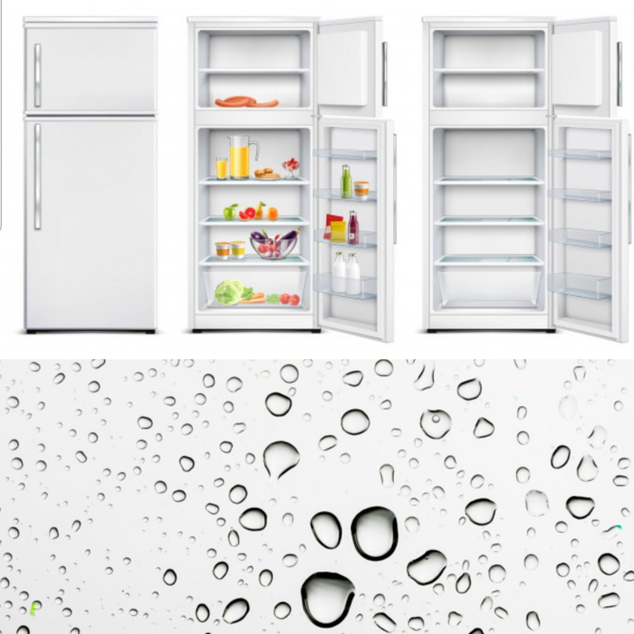 Suplementos Alimenticios  en México 